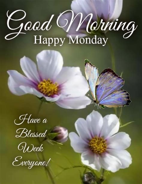 Everyone Have A Blessed Week Good Morning Happy Monday Pictures