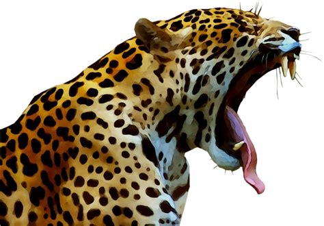 Jaguar Cheetah Leopard Cat Felidae Png Download 1160808 Free