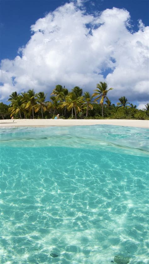 Sandy Cay Bvi Beach Palms Sandy Cay Turquoise Blue Water White