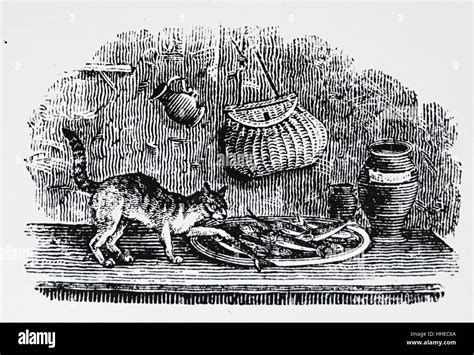 Cat Stealing Fish From A Platter From Thomas Bewick The Fables Of