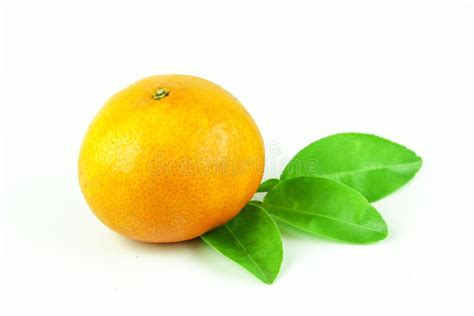 Orange Fruit Slice Isolated Stock Photo Image Of Exotic Healthcare