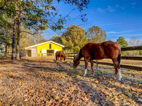 144 Acre Luxury Horse Farm In Suffolk Va Private Pond Suffolk