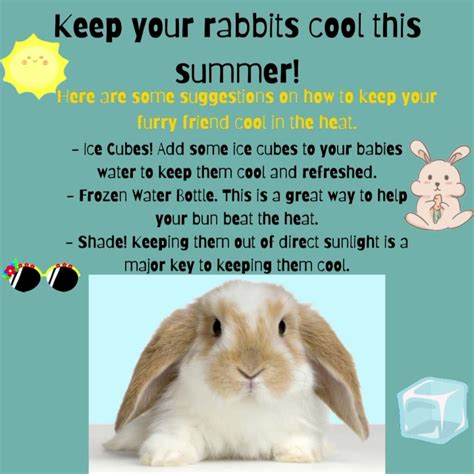 Avaliações da loving hands animal hospital. Hey there hop stuff 😉🐰 here... - Loving Hands Animal ...