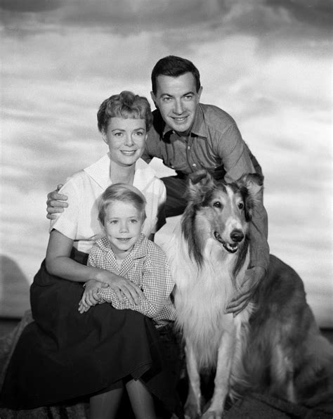 Lassie 1954