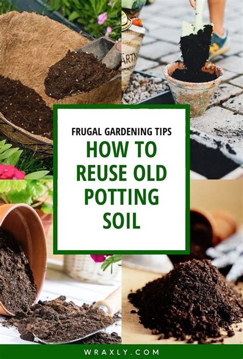 Frugal Gardening Tips How To Reuse Old Potting Soil Home Gardening