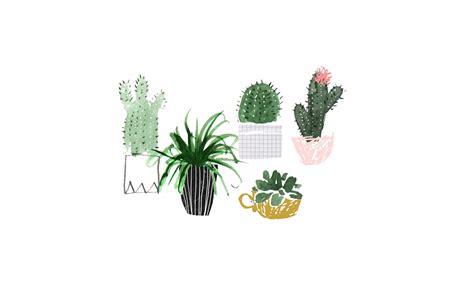 Minimalist Plant Desktop Wallpapers Top Free Minimalist Plant Desktop