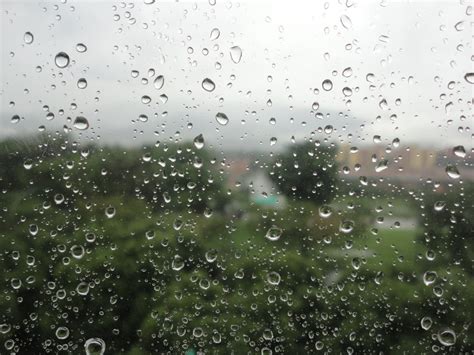 무료 이미지 하락 이슬 잎 젖은 시티 날씨 비오는 액 비가 내리는 습기 물방울 수분 동결 비의 방울