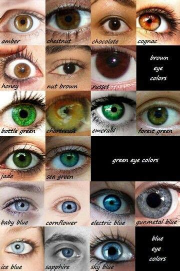 Different Eye Colors For Descriptions Eye Color Chart Writing Tips