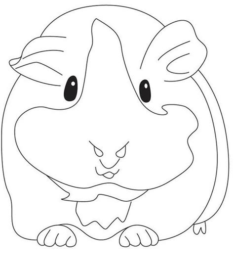 Explore 623989 free printable coloring pages for you can use our amazing online tool to color and edit the following guinea pig coloring pages. Guinea Pig, : Pregnant Guinea Pig Coloring Page | coloring ...