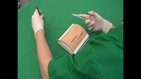 Csl Simple Interrupted Suture Youtube