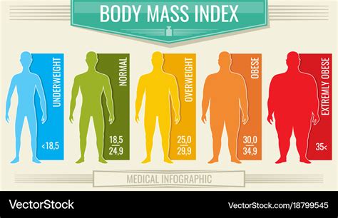 Man Body Mass Index Fitness Bmi Chart With Vector Image Gambaran