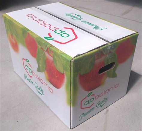 Packaging Applex Apples Producer Fresh Apples From Poland