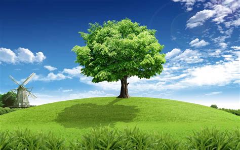 With these tree png images, you can directly use them in your design project without cutout. 67+ Cool Tree Backgrounds on WallpaperSafari