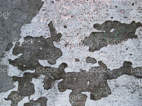 Decaying Surface Of An Old Concrete Wall Stock Photo Download Image