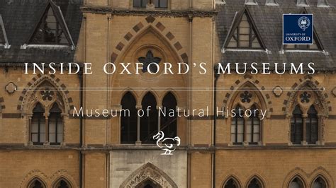 Very reasonable priced sandwiches/baguettes/paninis all freshly made up to order. Inside the Oxford University Museum of Natural History ...