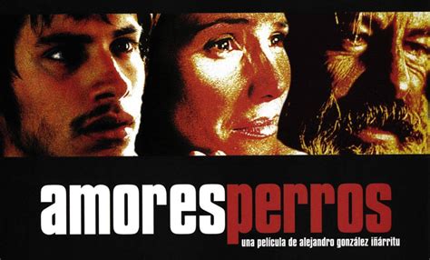 Amores Perros A 20 Años De Cambiar El Cine Mexicano