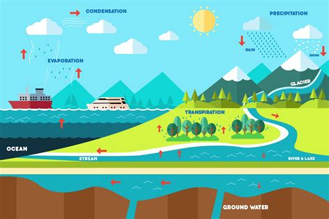 Water Cycle Water Cycle Diagram Water Cycle Poster Water Cycle Craft