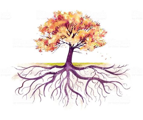 This Traditional Watercolor Of An Autumn Tree With Its Root System