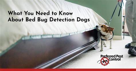 As an owner operator, dan is. Des Moines Bed Bug Detection Dogs | Preferred Pest Control