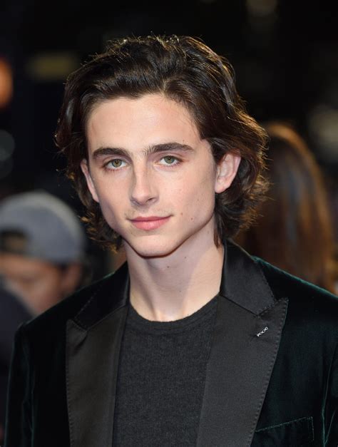 Information on this blog are copyright to their respectful owners. Timothée Chalamet - Biografi Aktor, Film, Penghargaan & Fakta