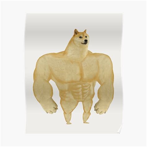 Swole Doge Muscular Chad Dog Meme Hd High Quality Poster For Sale By