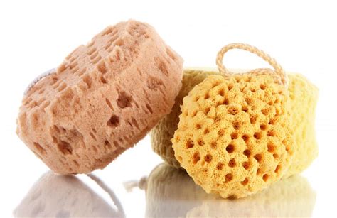 How Do I Choose The Best Natural Sponge With Pictures
