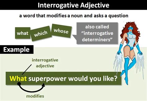 Interrogative Adjectives Explanation And Examples