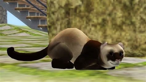 Petition · Ea Games Sims 4 Pets Ferrets ·