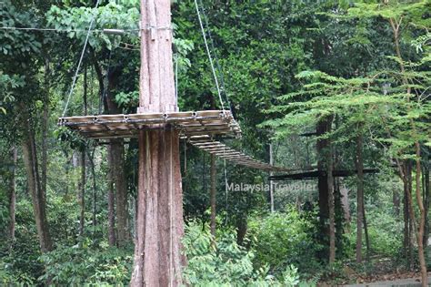Maybe you would like to learn more about one of these? Skytrex Melaka - Extreme Adventure Fun In A Natural ...