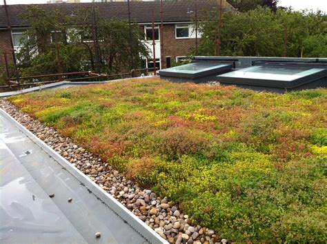 Df Roofing Waterproofing Solar Green Roofs