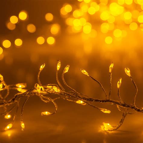 Gold Led Fairy Lights Gold Wire Wintergreen Corporation