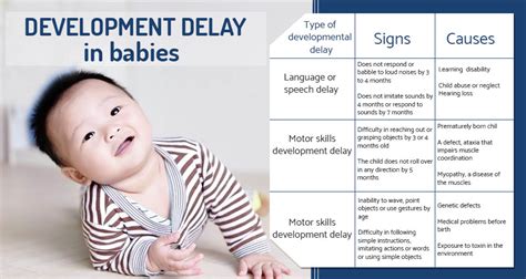 Development Delay In Babies Signs Causes And Treatment