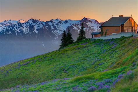 Images From Hurricane Ridge In The Olympic National Park Action Photo