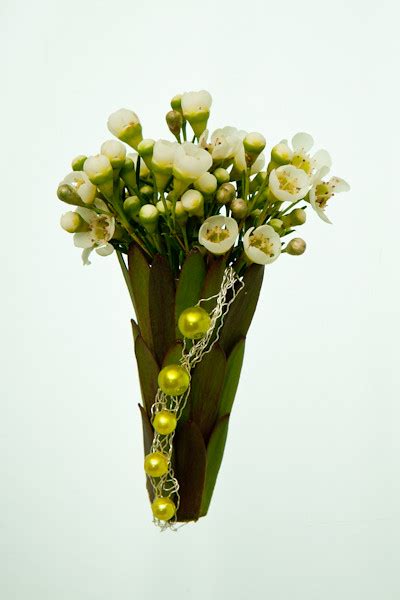 Waxflower And Leucodendron Philagree Salmon Arm Florist Flickr