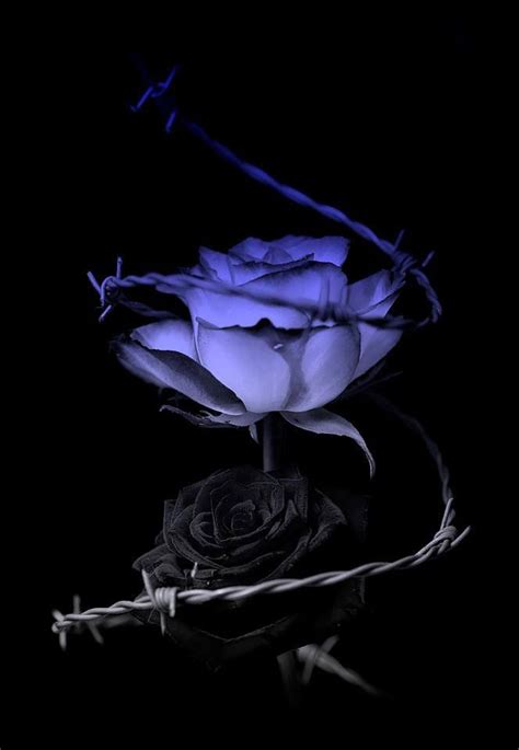 Pin By Emerald Chaney On Art In 2020 Purple Roses Rose Art Purple