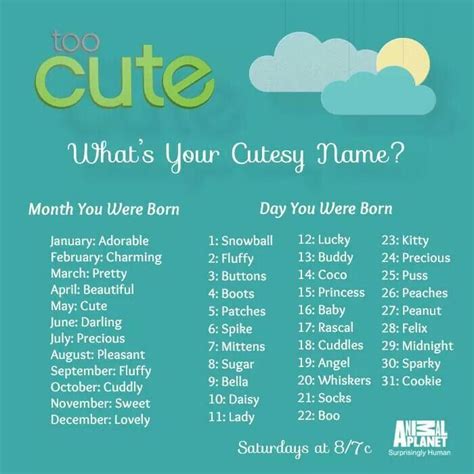What's your cutesy name? TOO CUTE | Names, What is your name, Animal planet