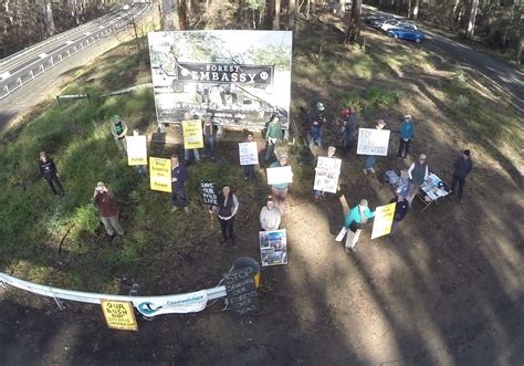Protesters Organise To Protect Native Forests From Logging Green Left