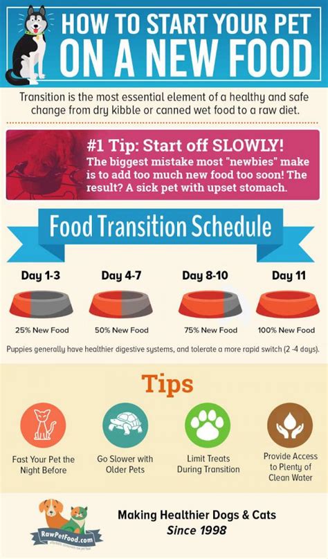 Shih Tzu Food List What They Can And Cant Eat Shih Tzu 4u