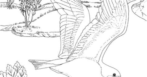 Meeuw kleurplaat / Gull Kleurplaten en mandala 's Pinterest Gull