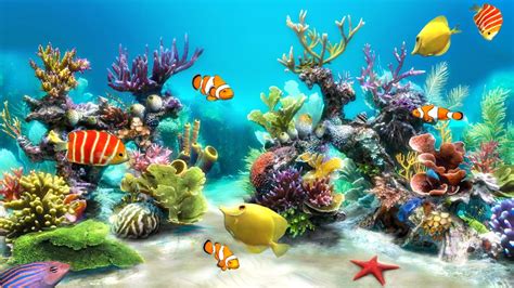 Living Marine Aquarium 2 Screensaver Full Download