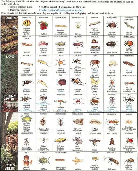 Types of insects with pictures and names for easy. http://www.planocommunitygarden.org/garden101/insect ...