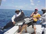 Costa Rica Marlin Fishing Season Images