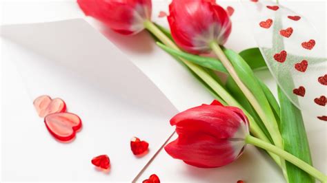 Wallpaper Tulip 5k 4k Wallpaper Spring Flower Red Heart Holidays