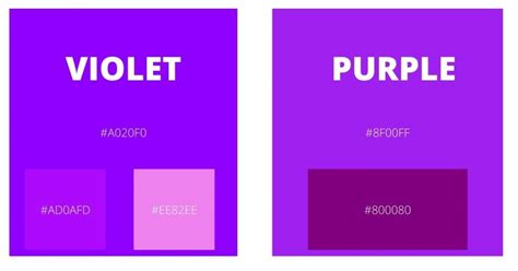 Difference Between Violet And Purple Explained Acrylic Painting School