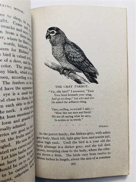 George H Holden Holdens New Book On Birds 1919 Ebay