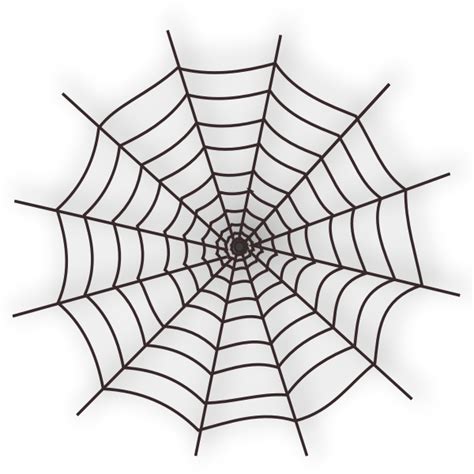 Vector Illustration Of Spider Web Free Svg