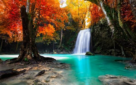 Colorful Trees Waterfall Nature Tropical Forest Fall Thailand