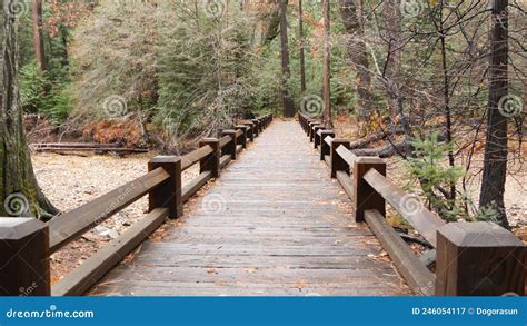 Wooden Catwalk Bridge In Autumn California Forest Footbridge On