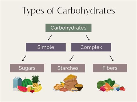 Types Of Carbohydrates Stephanie Kay Nutrition