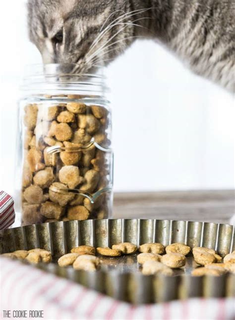 Fresh homemade food is arguably better. 3 Ingredient Salmon Cat Treats - The Cookie Rookie